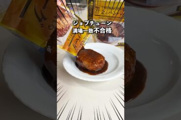 ジョブチューンで満場一致不合格？セブンの金のハンバーグを食べた庶民の感想