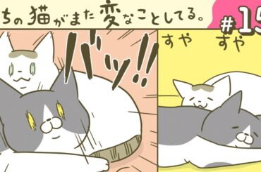 【漫画】冷房始めました/凝視そして凝視/他（CV:悠木碧、小市眞琴、森永千才、平川嵐）｜『うちの猫がまた変なことしてる。』（15）【マンガ動画】ボイスコミック