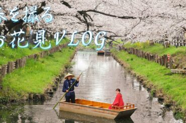 【Vlog】川越お花見散歩をしてきました