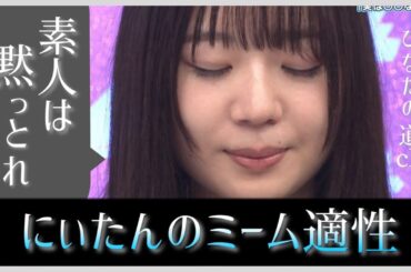 坂井新奈ちゃんのミーム適性が高すぎて愛されまくっている件【日向坂46】
