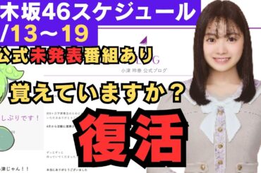 小津玲奈 復活 覚えていますか？ 公式未発表番組あり【乃木坂46スケジュール】