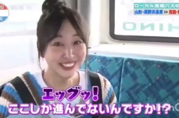 ローカル路線バス乗り継ぎの旅Ｗ！第２弾～山形県湯野浜温泉→青森県龍飛崎