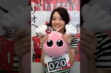 逢沢りなの歴史