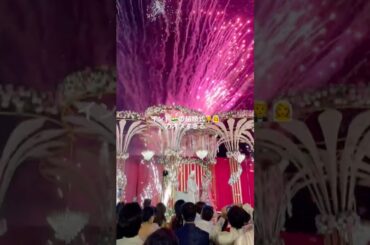 【インド】インドの結婚式がカオスすぎる🎆