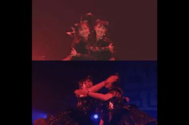 【BABYMETAL】Catch Me If You Can 🦊 #babymetal