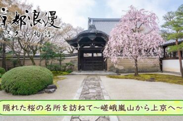 【BS11/KBS京都】「京都浪漫　悠久の物語」第191回「隠れた桜の名所を訪ねて～嵯峨嵐山から上京へ～」（BS11にて2026年4月13日放送分）