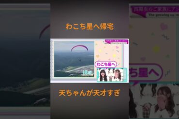 わこち星へパラグライダーで帰ってしまうwww #櫻坂46 #そこ曲がったら櫻坂 #松本和子 #山崎天