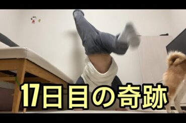 【孤独の56歳】逆立ち17日目…ついに歩けた（壁ありだけど）