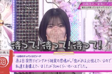 テッパンエピソード#山田桃実 編