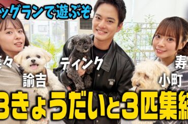 【中山優馬】３きょうだいと３匹が集結...ドッグランで遊ぶぞ【前編】