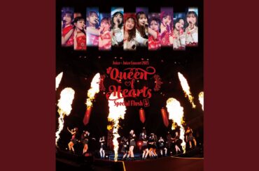 Future Smile／井上玲音(Concert 2025 Queen of Hearts Special Flush)
