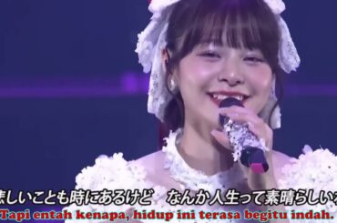 好きなんて。。。。- ngt48 homma hinata