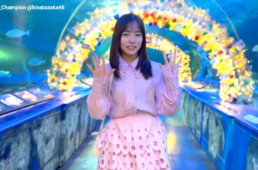 正源司陽子『グラビアチャンピオン』VOL.12 4月30日発売！表紙巻頭を飾るのは日向坂46の正源司陽子ちゃん♪