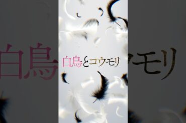 映画『白鳥とコウモリ』9.4(Fri.)ROADSHOW #映画白鳥とコウモリ #東野圭吾 #松村北斗 #今田美桜 #中村芝翫 #三浦友和