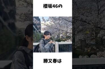 勝又春の豆知識 #櫻坂46 #坂道 #勝又春 #櫻坂四期生 #豆知識 #おすすめ