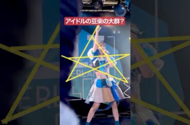 アイドルの一番好きな星は？おもしろ 推しカメラ #豆柴の大群 #アイカ・ザ・スパイ #アイドル #idol #おすすめ #推し活 #撮影可能ライブ
