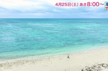 ロコレコは大友花恋！ゲストの旅は八嶋智人！「旅サラダ」4月25日（土）放送