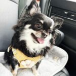 ［わが家のアイドル］うれしくてうるうる | わが家のアイドル | 沖縄タイムス＋プラス