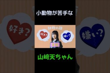 小動物が苦手な山﨑天ちゃん #櫻坂46 #欅坂46 #櫻坂チャンネル #山﨑天 #shorts