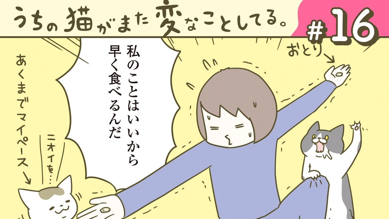 【漫画】跳ぶ理由/おやつとスリル/他（CV:悠木碧、小市眞琴、森永千才、平川嵐）｜『うちの猫がまた変なことしてる。』（16）【マンガ動画】ボイスコミック