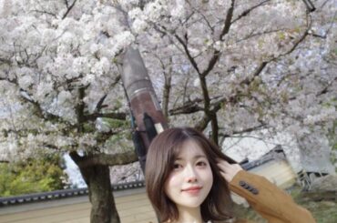 hanami with isobe karin