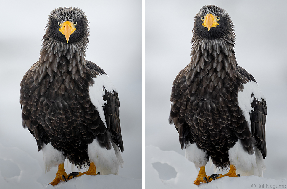 南雲るい×流氷クルーズ