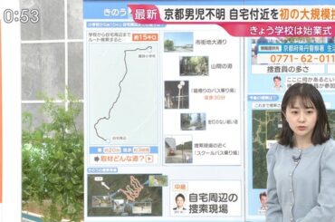 【画像】今日の若林有子さん　 4.8