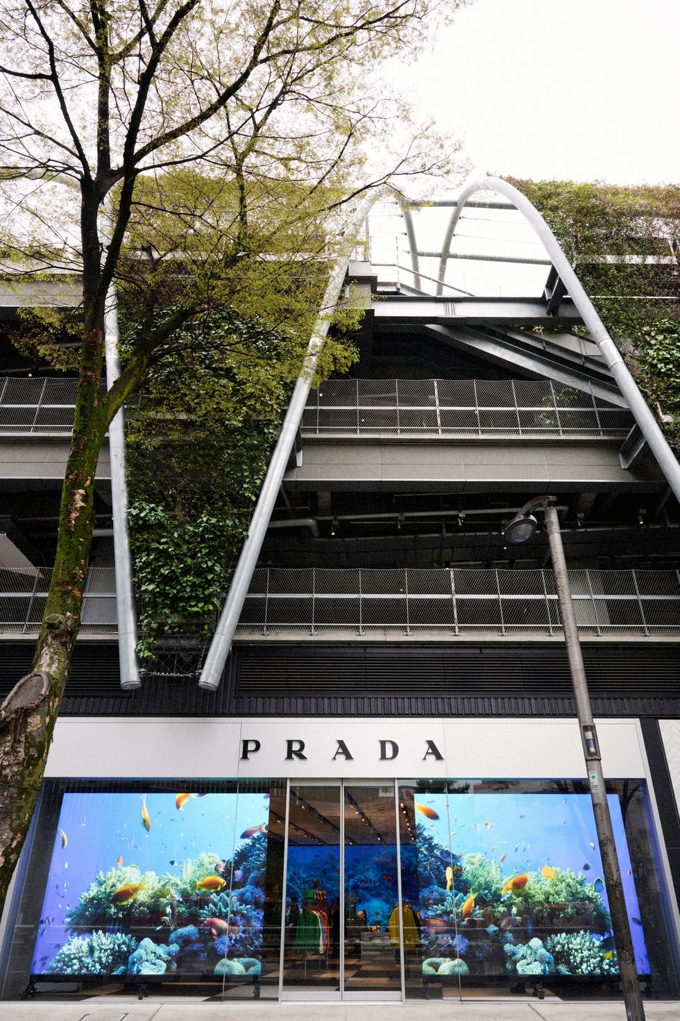 プラダ miyashita park店