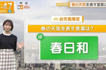 【画像】今日の今井春花さん　4.25