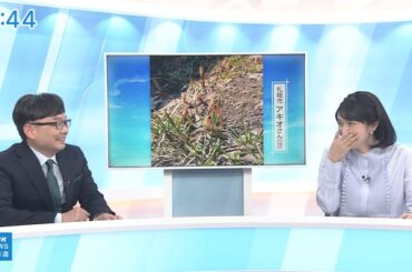 【画像】今日の松本真季さん　4.9