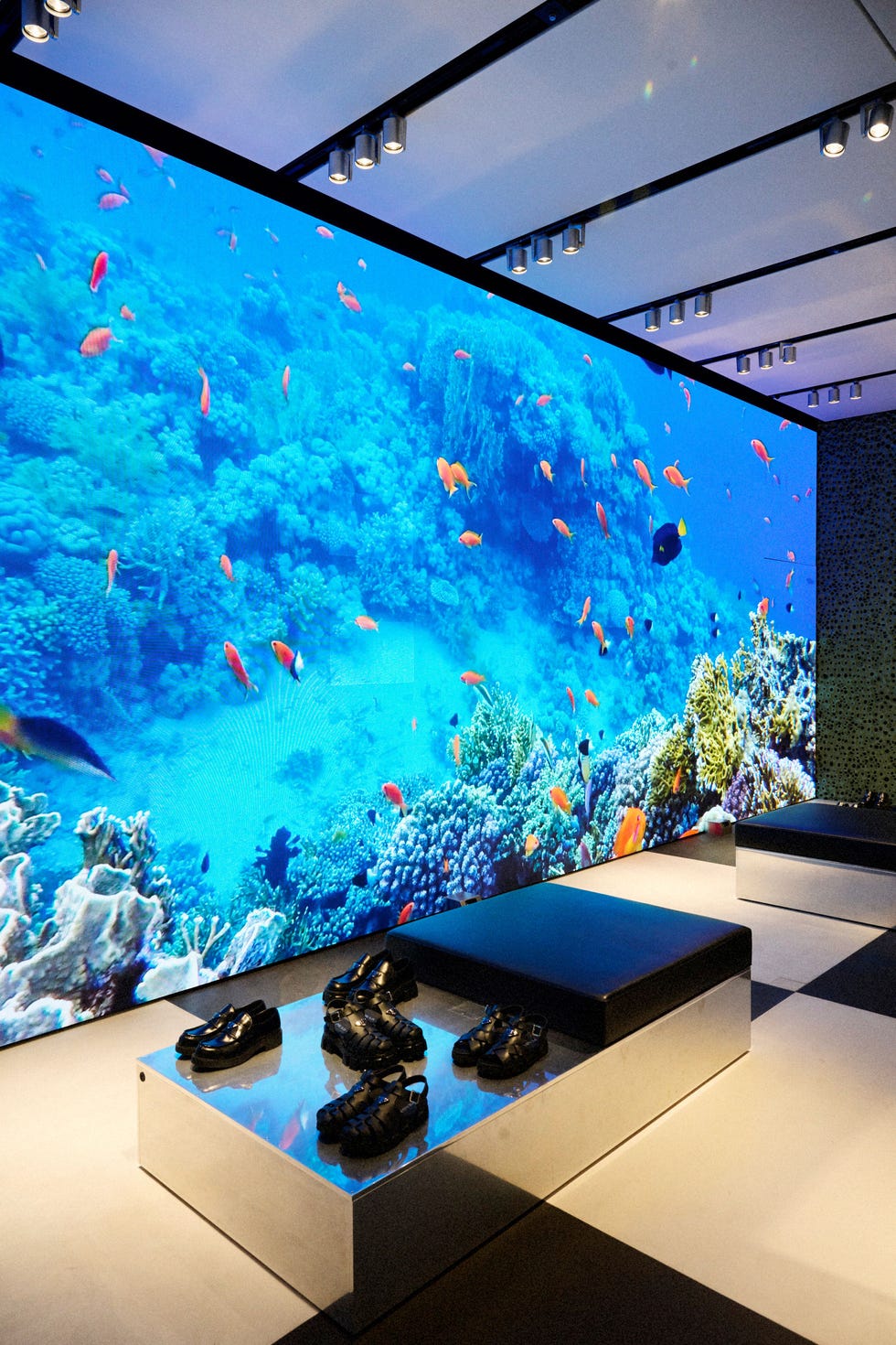 プラダ miyashita park店