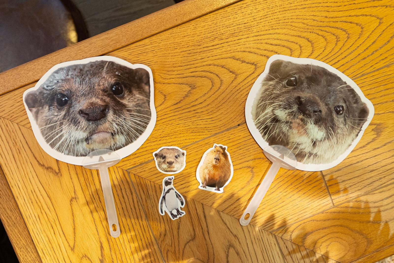 神戸「アトア」アート没入型水族館、5周年記念“ペンギン”の証明写真風シール＆カワウソスイーツ｜写真13