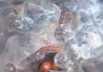 etoranzea & Cyb3rPool、「flare」を配信開始｜THE MAGAZINE