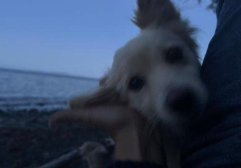 i just want to hold her、「the slow decay of an ordinary night」を配信開始｜THE MAGAZINE