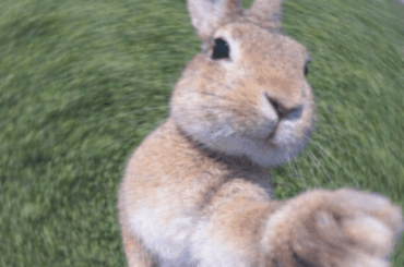 BHS Svve、ニューシングル「flawless/flowerless」リリース　過剰なポップとエモ、不安定と安らぎが同居｜THE MAGAZINE