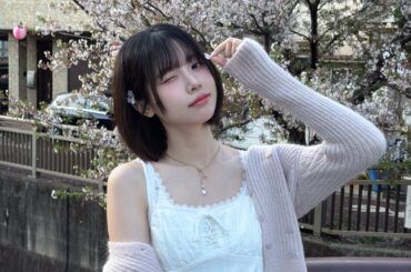 リュー: 🌸🌸🌸🌸🌸