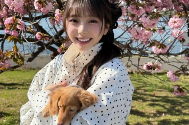 八重桜が好き🐾