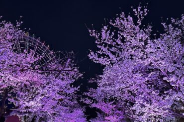 的野 美青 2026/4/02 四月！ 春！！だ！？少し前までは、外に出るたびに肩をすくめてしまうような寒さが続いていたけれどいつの間にか肌が凍えるような感覚は......