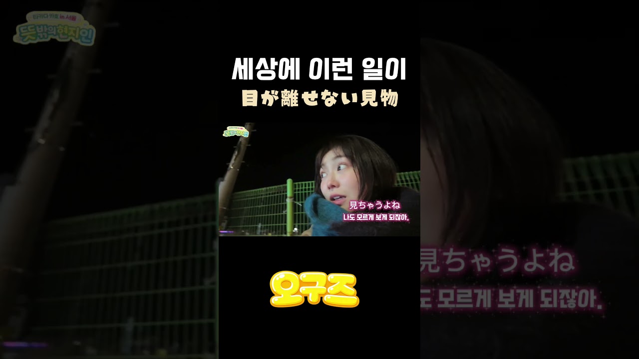 싸우지마세여 江陵の街中での目撃談  #高田夏帆 #타카다카호 #강릉 #오구즈
