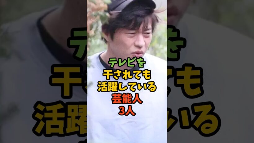 テレビを干されても活躍している芸能人3人 #芸能人 #芸能 #田中圭 #のん #能年玲奈 #西野亮廣 #shorts