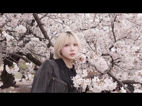 誕生日ウィーク！生誕祭/チューリップ/花見🌸