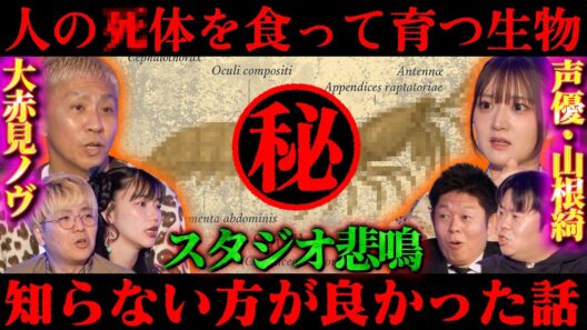 【初耳怪談】※都市伝説※人の《●体を食う》生物の驚きの生態…写真の真ん中に写る人は…聞いて後悔!!知らない方がよかった話が連発!!【山根綺】【島田秀平】【ナナフシギ】【松嶋初音】【川口英之】