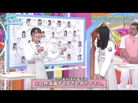 【日向坂46】「日向坂で会いましょう」動画 2026 !  日向坂46 最新メンバー相関図を作ろう！