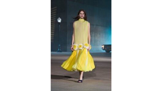 Dior 2027 Cruise Collection | 画像75枚
