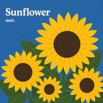 mnt.、「Sunflower」を配信開始｜THE MAGAZINE