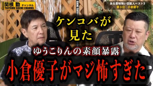 【訴訟問題】ゆうこりんのある意味怖すぎた素顔晒します