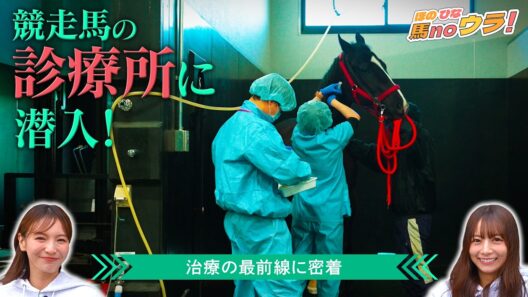 【競走馬を守る獣医のウラ側行ってみた！】 ほのひなの馬noウラ！#3 | JRA FUN CLUB