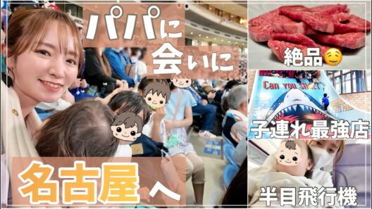 【子連れ旅行】パパに会いに行く！名古屋親子旅【飛行機・野球・巨大遊具】