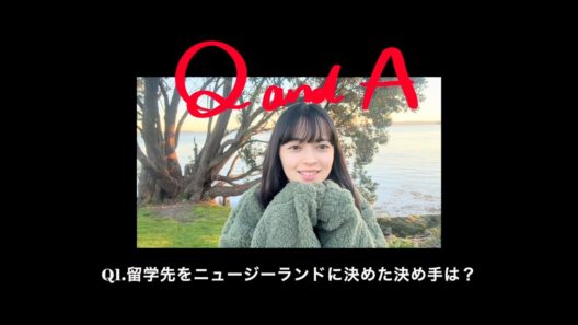 【Moe】#16 Q＆A！