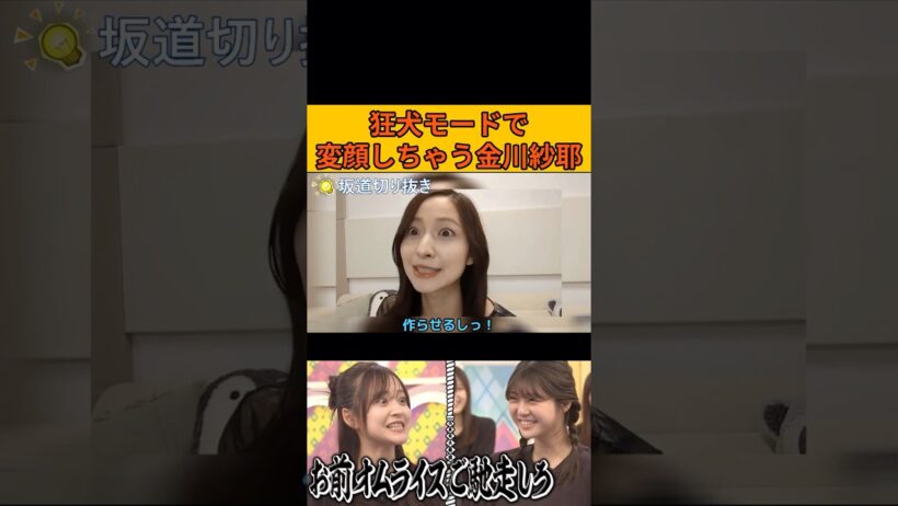 【金川紗耶】狂犬モードで変顔しちゃうやんちゃん #金川紗耶#冨里奈央#乃木坂46#のぎおび